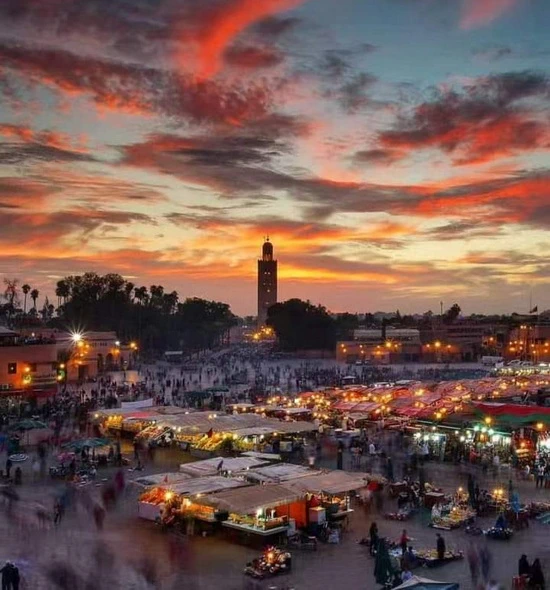 Day Trips from Casablanca to Marrakech